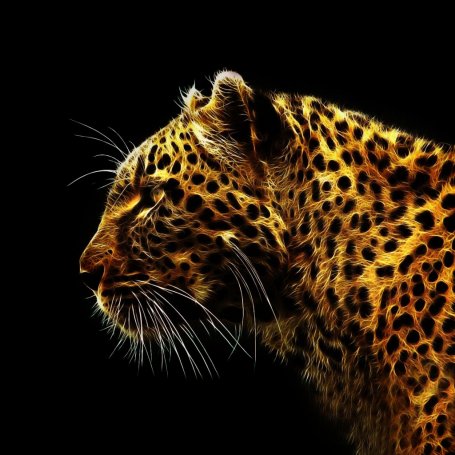 Leopard Background on Leopard Wallpaper